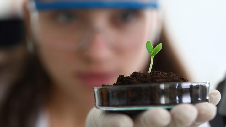 scientists grow plants in Moon soil similar to how scientists grow plants in the lab