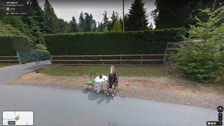 Google Maps Street View: A horse eating a banana in Canada.