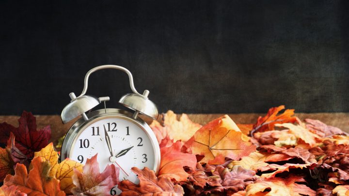 a clock resting on a pile of leaves