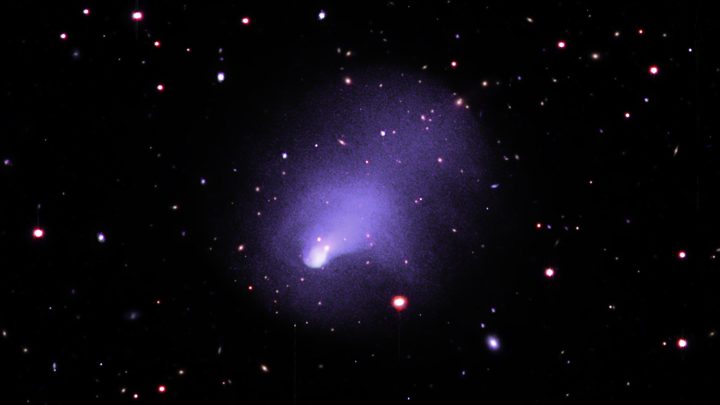 galactic collisions in abell 2146